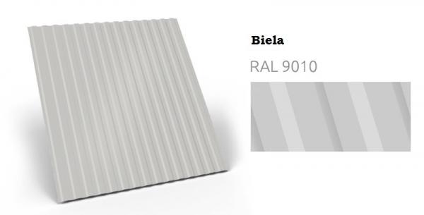 Biela RAL 9010