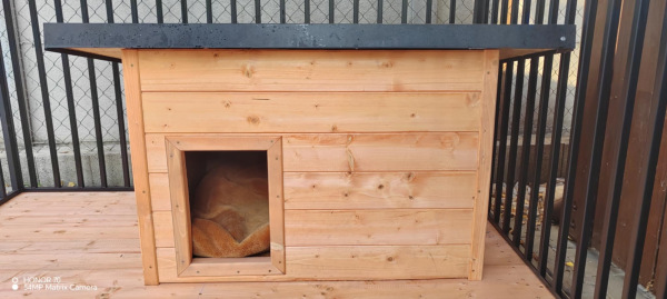 Zateplená búda pre psa XL 120×80 cm – pevná drevená búda pre veľké plemená 12